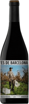 L'Olivera Vinyes de Barcelona