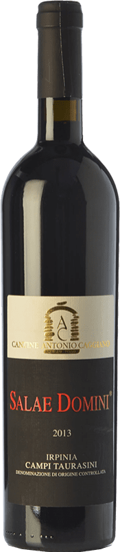 22,95 € 免费送货 | 红酒 Caggiano Campi Taurasini Salae Domini D.O.C. Irpinia
