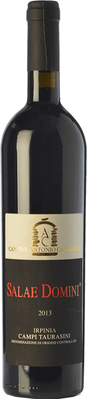 22,95 € | Красное вино Caggiano Campi Taurasini Salae Domini D.O.C. Irpinia Кампанья Италия Aglianico 75 cl