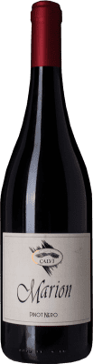 Calvi Marion Pinot Noir Oltrepò Pavese 75 cl