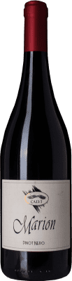 Calvi Marion Pinot Preto Oltrepò Pavese 75 cl