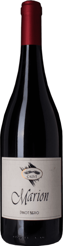13,95 € | Red wine Calvi Marion D.O.C. Oltrepò Pavese Lombardia Italy Pinot Black Bottle 75 cl