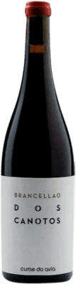 Cume do Avia Dos Canotos Brancellao Ribeiro 75 cl