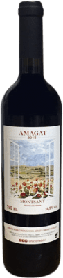 Clos de L'Ona Amagat Montsant 75 cl