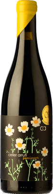 Arrufí Panicort Criança Terra Alta 岁 75 cl