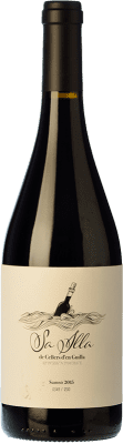 Guilla Sa Illa Carignan Empordà Crianza 75 cl