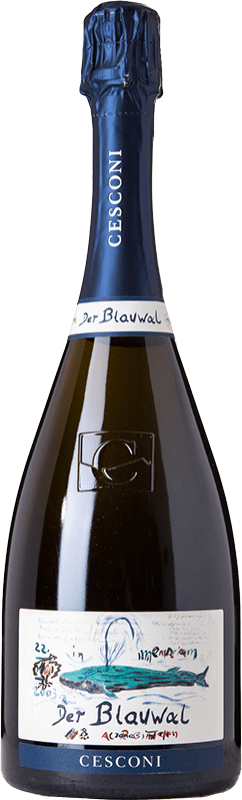 45,95 € Envio grátis | Espumante Branco Cesconi Blauwal Extra Brut — Extra Bruto Reserva D.O.C. Trento
