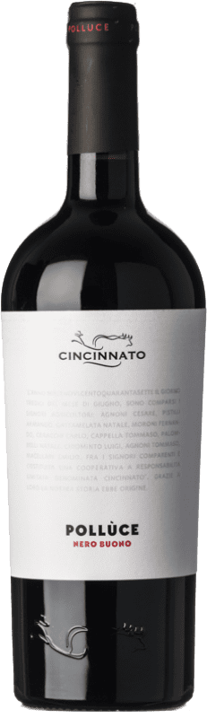 10,95 € Kostenloser Versand | Rotwein Cincinnato Nero Buono Polluce I.G.T. Lazio