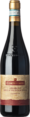 Corteforte Dea Lualda Amarone della Valpolicella 75 cl