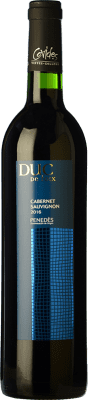 Covides Duc de Foix Negre 若い