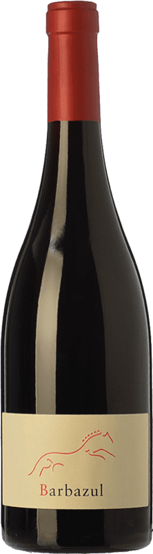 24,95 € | Red wine Huerta de Albalá Barbazul I.G.P. Vino de la Tierra de Cádiz Andalusia Spain Merlot, Syrah, Cabernet Sauvignon, Tintilla de Rota Magnum Bottle 1,5 L