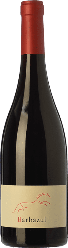 29,95 € | Rotwein Huerta de Albalá Barbazul I.G.P. Vino de la Tierra de Cádiz Andalusien Spanien Merlot, Syrah, Cabernet Sauvignon, Tintilla de Rota Magnumflasche 1,5 L