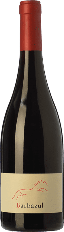 25,95 € Envío gratis | Vino tinto Huerta de Albalá Barbazul I.G.P. Vino de la Tierra de Cádiz Botella Magnum 1,5 L