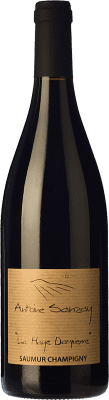 Antoine Sanzay La Haye Dampierre Oak Organic