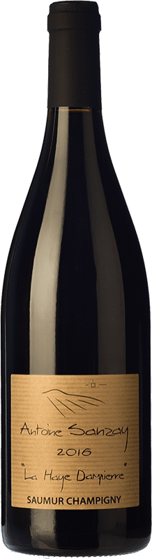 Free Shipping | Red wine Antoine Sanzay La Haye Dampierre Oak A.O.C. Saumur-Champigny Loire France Cabernet Franc 75 cl