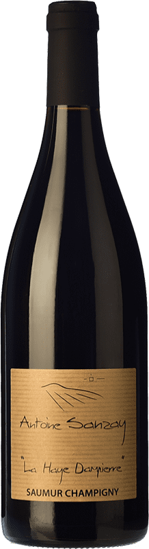 Free Shipping | Red wine Antoine Sanzay La Haye Dampierre Oak A.O.C. Saumur-Champigny Loire France Cabernet Franc 75 cl
