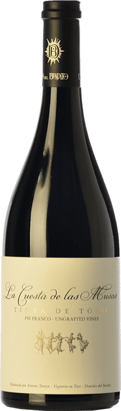 216,95 € Envio grátis | Vinho tinto Dominio del Bendito La Cuesta de las Musas Crianza D.O. Toro