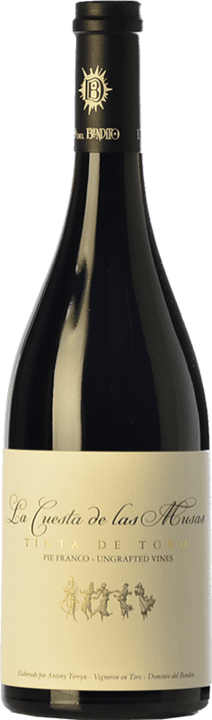 169,95 € | Vino Rosso Dominio del Bendito La Cuesta de las Musas Crianza — Invecchiato in Botte D.O. Toro Castilla y León Spagna Tinta de Toro 75 cl