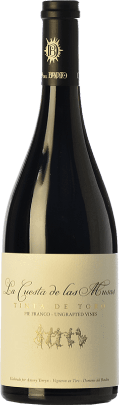 152,95 € Free Shipping | Red wine Dominio del Bendito La Cuesta de las Musas Crianza D.O. Toro Castilla y León Spain Tinta de Toro Bottle 75 cl