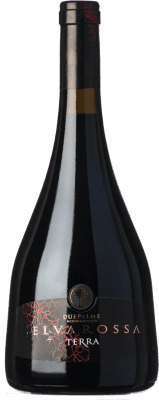 Due Palme Selvarossa Terra Salice Salentino Резерв 75 cl