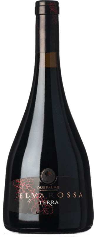 送料無料 | 赤ワイン Due Palme Selvarossa Terra 予約 D.O.C. Salice Salentino プーリア イタリア Malvasia Black, Negroamaro 75 cl