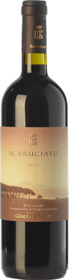 Guado al Tasso Il Bruciato Bolgheri 瓶子 Magnum 1,5 L