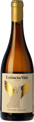 Mascorrubí Extincta Vitis Sumoll Catalunya 75 cl