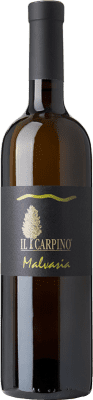 Il Carpino