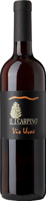 Il Carpino Vis Uvae