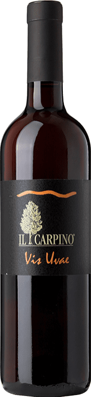 Free Shipping | White wine Il Carpino Vis Uvae I.G.T. Friuli-Venezia Giulia Friuli-Venezia Giulia Italy Pinot Grey 75 cl