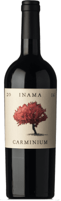 Inama Carminium Carmenère Colli Berici 75 cl