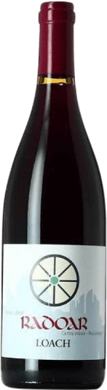 Бесплатная доставка | Красное вино Radoar Loach D.O.C. Südtirol Alto Adige Альто-Адидже Италия Pinot Black, Zweigelt 75 cl