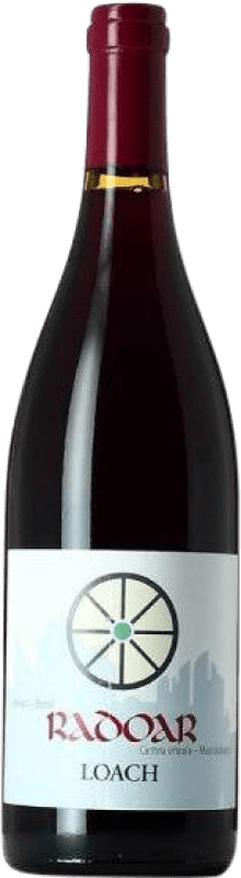 Envío gratis | Vino tinto Radoar Loach D.O.C. Südtirol Alto Adige Alto Adige Italia Pinot Negro, Zweigelt Ecológico 75 cl
