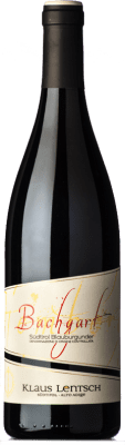 Klaus Lentsch Bachgart Pinot Negro Alto Adige 75 cl