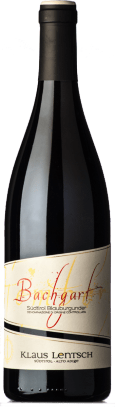 Free Shipping | Red wine Klaus Lentsch Bachgart D.O.C. Alto Adige Trentino-Alto Adige Italy Pinot Black 75 cl