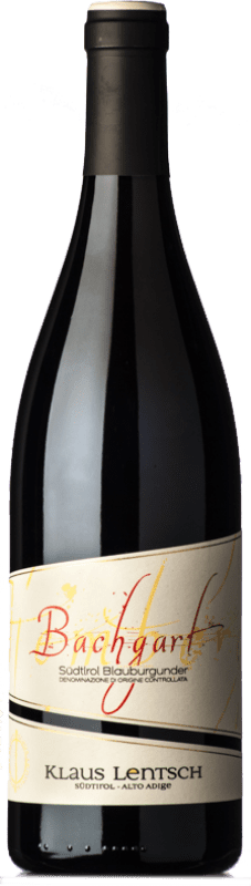 Kostenloser Versand | Rotwein Klaus Lentsch Bachgart D.O.C. Alto Adige Trentino-Südtirol Italien Spätburgunder 75 cl