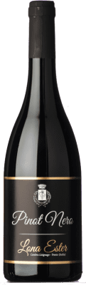 Lona Ester Pinot Black Trentino 75 cl