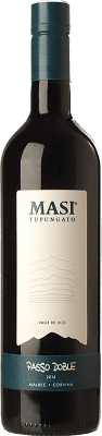 Tupungato Passo Doble Valle de Uco Ecológico 75 cl
