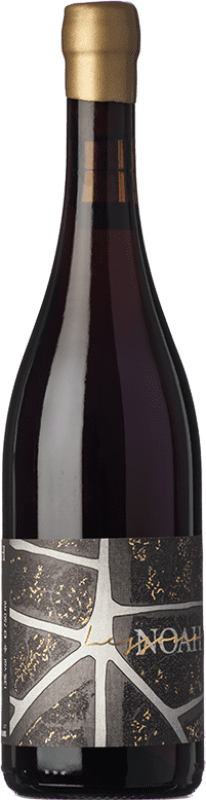 Бесплатная доставка | Красное вино Noah D.O.C. Lessona Пьемонте Италия Nebbiolo 75 cl