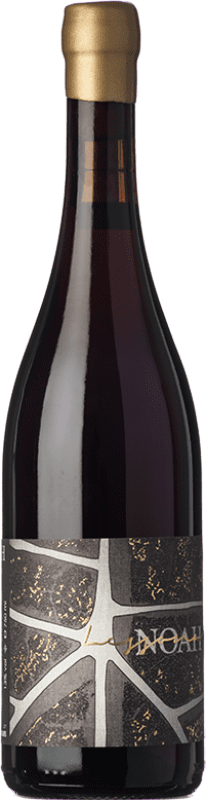 42,95 € Envío gratis | Vino Tinto Noah D.O.C. Lessona