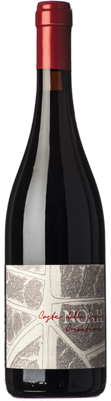 19,95 € Envio grátis | Vinho Tinto Noah Croatina D.O.C. Coste della Sesia