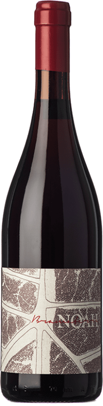 34,95 € | Red wine Noah D.O.C. Bramaterra Piemonte Italy Nebbiolo, Croatina, Vespolina, Rara 75 cl