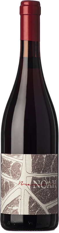 31,95 € Envío gratis | Vino Tinto Noah D.O.C. Bramaterra