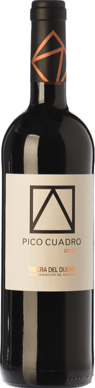 15,95 € | Vin rouge Pico Cuadro Crianza D.O. Ribera del Duero Castille et Leon Espagne Tempranillo 75 cl