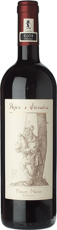 Kostenloser Versand | Rotwein Pojer e Sandri I.G.T. Vigneti delle Dolomiti Trentino-Südtirol Italien Pinot Noir — Spätburgunder 75 cl
