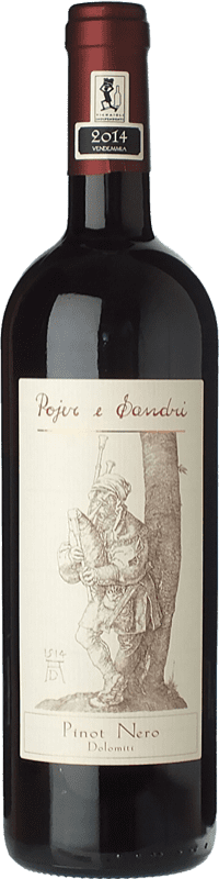 Kostenloser Versand | Rotwein Pojer e Sandri I.G.T. Vigneti delle Dolomiti Trentino-Südtirol Italien Spätburgunder 75 cl