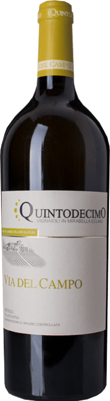 44,95 € | 白酒 Quintodecimo Via del Campo D.O.C. Irpinia 坎帕尼亚 意大利 Falanghina 75 cl