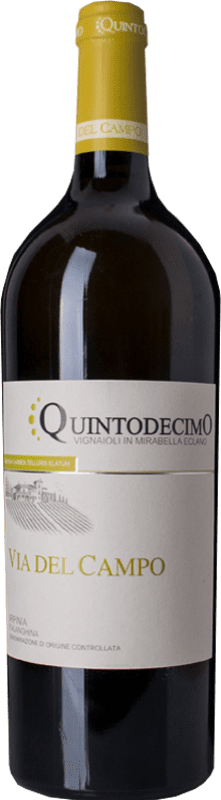 44,95 € Free Shipping | White wine Quintodecimo Via del Campo D.O.C. Irpinia