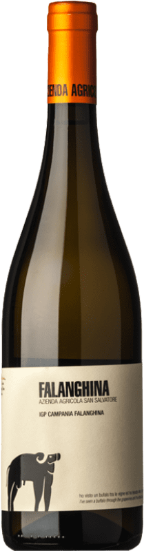 Envoi gratuit | Vin blanc San Salvatore 1988 I.G.T. Campania Campanie Italie Falanghina 75 cl