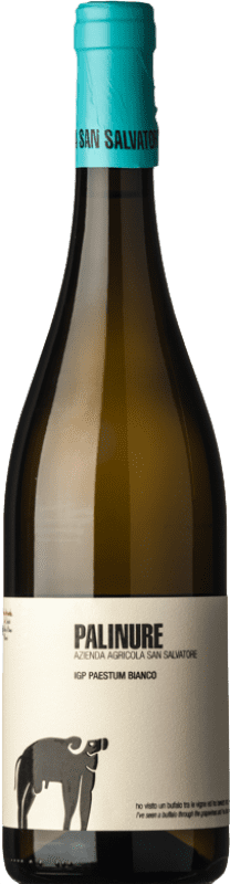 16,95 € Бесплатная доставка | Белое вино San Salvatore 1988 Bianco Palinure D.O.C. Paestum